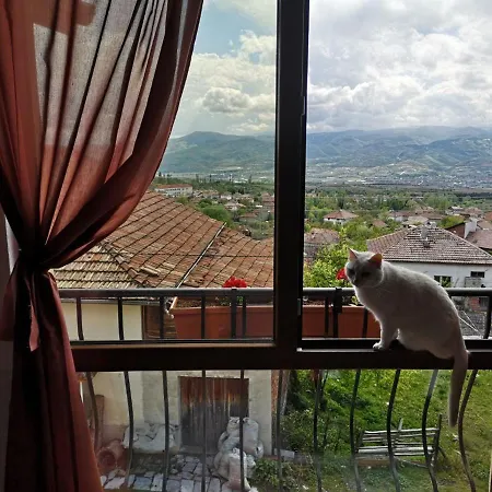 Villapo