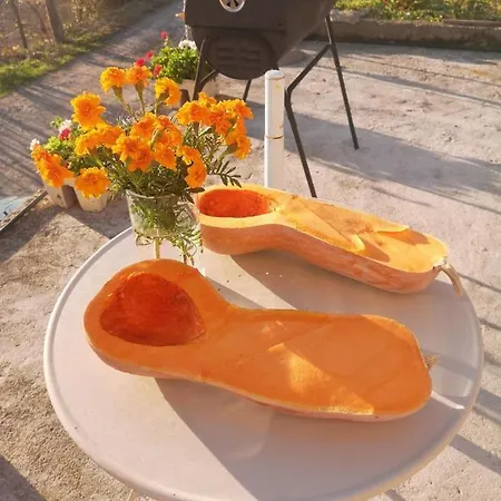 Villapo Apartment Ilindentsi