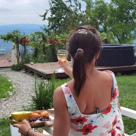 Апартамент Villapo *