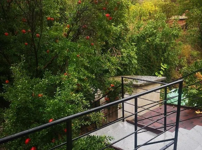 Villapo شقة Ilindentsi