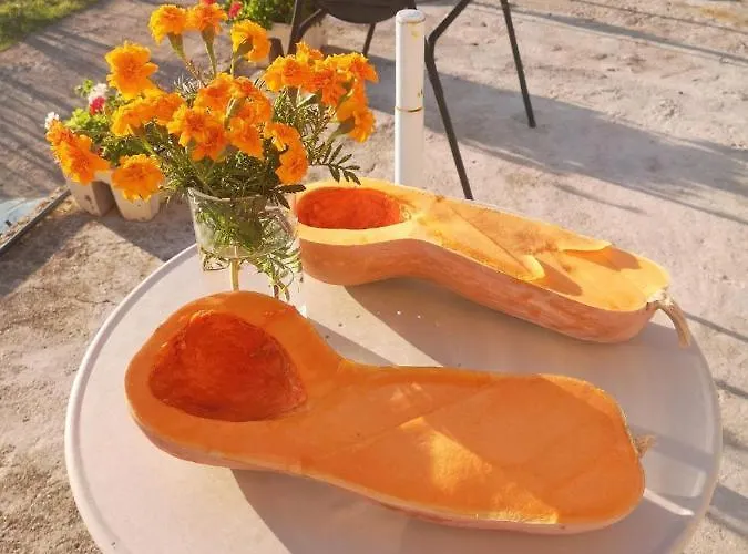 Villapo شقة Ilindentsi